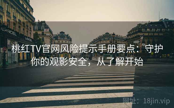 桃红TV官网风险提示手册要点：守护你的观影安全，从了解开始