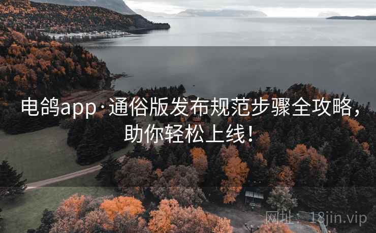 电鸽app·通俗版发布规范步骤全攻略，助你轻松上线！