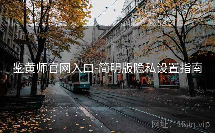 鉴黄师官网入口-简明版隐私设置指南