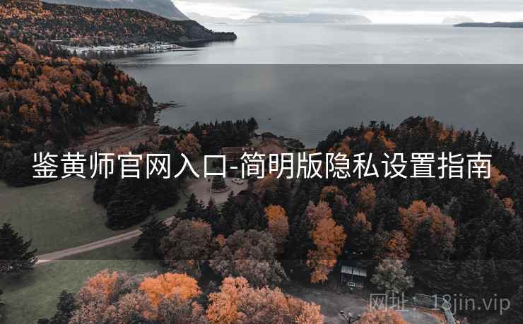 鉴黄师官网入口-简明版隐私设置指南
