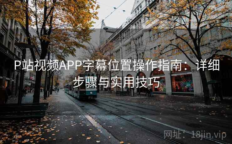 P站视频APP字幕位置操作指南：详细步骤与实用技巧