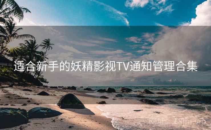适合新手的妖精影视TV通知管理合集