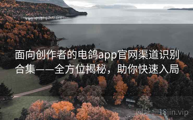 面向创作者的电鸽app官网渠道识别合集——全方位揭秘，助你快速入局